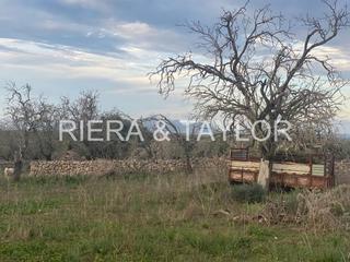 Rural plot in Santa Margalida Poble. Se vende terreno edificable en santa margalida