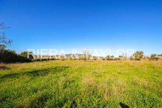 Rural plot in Vilafranca de Bonany. Terreno en villa franca de bonany