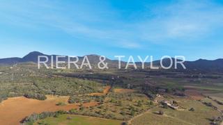 Finca rústica a Manacor Centre. Se vende terreno edificable en manacor