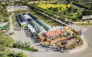 Masia a Son Servera Poble. Finca en son servera