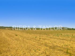 Finca rústica a Manacor Centre. Se vende terreno en manacor