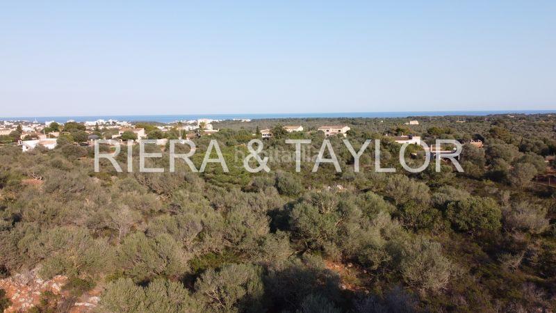 Foto 8b29869d-2bff-43ac-b5cb-110c3dbd96e3. Landgut in Portocolom Felanitx