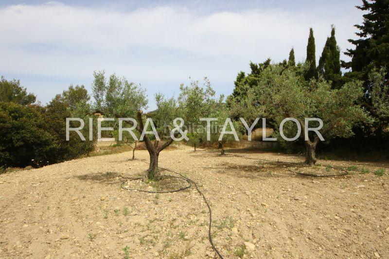 Foto 1c0f9167-10b0-48b8-8b74-ceb4f9b0bc13. Masia a Son Servera poble Son Servera