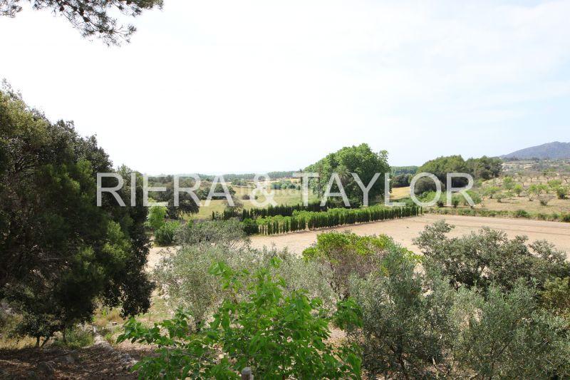 Foto 818fe630-b9c8-4e77-8efe-9b067671d545. Masia a Son Servera poble Son Servera