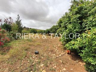 Rural plot in Sant Llorenç des Cardassar. Terreno en son carrio