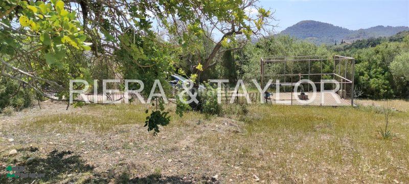 Foto 57591a3f-236a-4aa2-a3ec-293bc3b7040c. Finca rústica terreno en Son Servera poble Son Servera