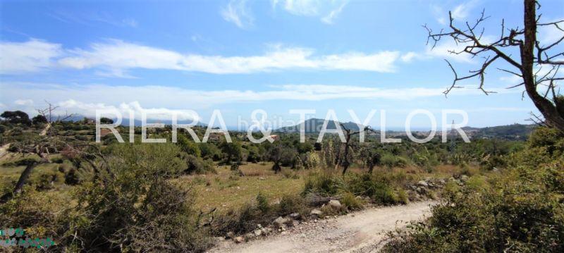 Foto d35f3a33-0e6a-4f39-90e8-f855f97a9222. Finca rústica terreno en Son Servera poble Son Servera