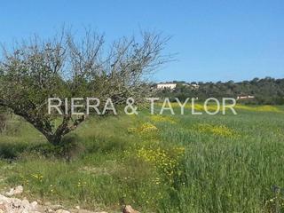 Country house in Porreres. Finca de nueva construccion en porreres