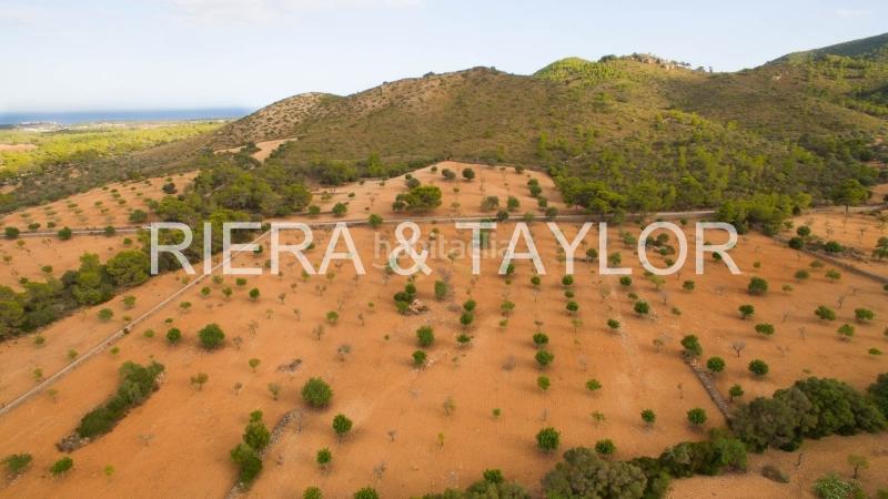 Foto 3b26dd09-350f-4367-9aa1-5bceb9b65de5. Fondo rustico in Manacor centre Manacor