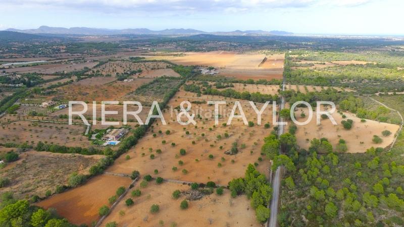 Foto 423be78b-4cbb-4198-820d-657f44e20107. Fondo rustico in Manacor centre Manacor