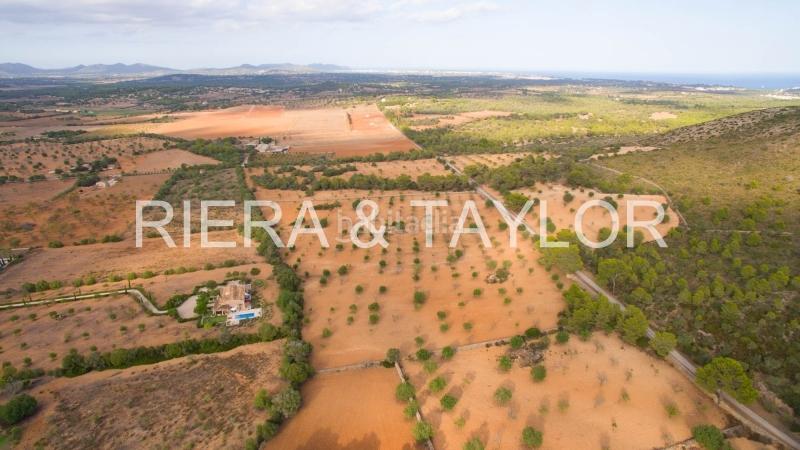 Foto 501eaf59-b812-444a-956a-bbc36d80306d. Fondo rustico in Manacor centre Manacor