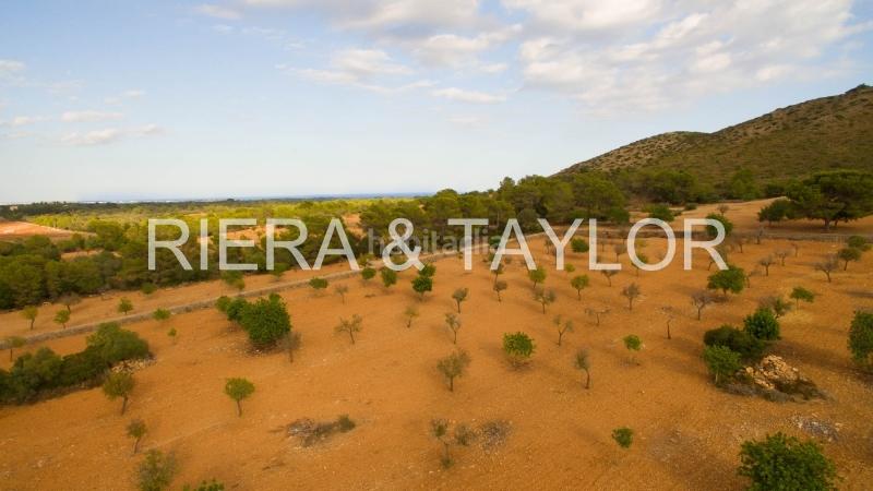 Foto 9c2b6509-8156-4ea5-bde7-6b96024c4d45. Fondo rustico in Manacor centre Manacor