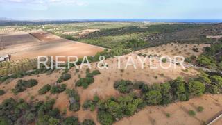 Finca rústica a Manacor Centre. Se vende terreno edificable en manacor
