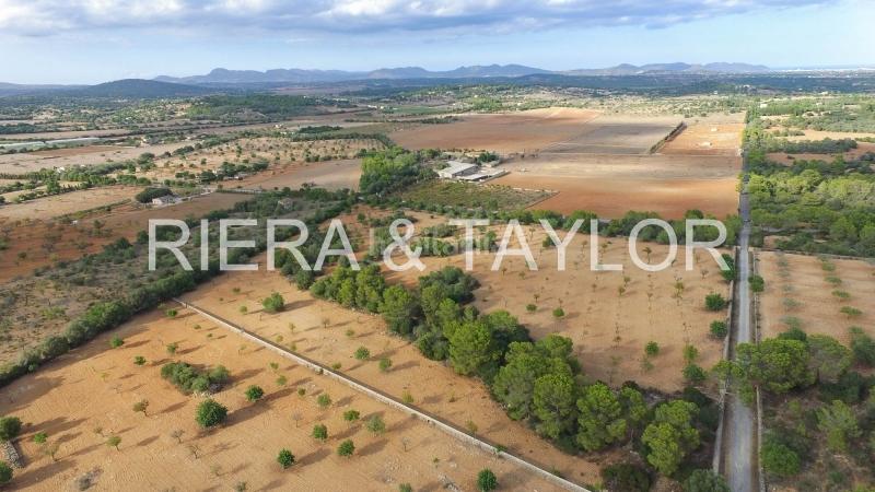 Foto fc700f1e-5ef4-49a1-81e9-ecda23152e12. Finca rústica a Manacor centre Manacor