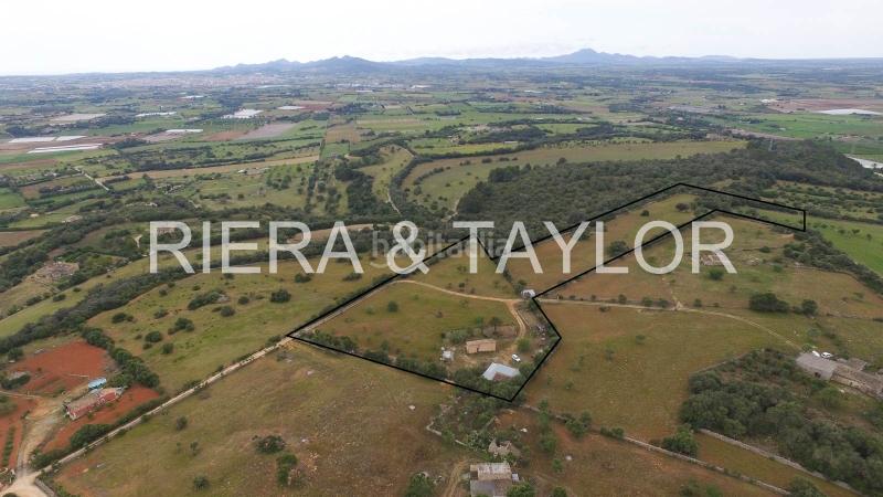 Foto a182aaa1-49d8-4949-ac82-255846305132. Finca rústica a Manacor centre Manacor