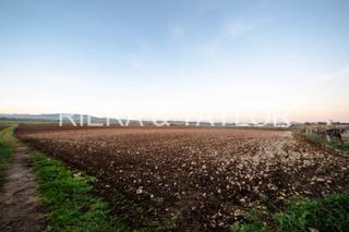 Rural plot in Vilafranca de Bonany. Se vende terreno edificable en felanitx
