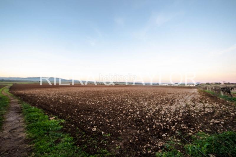 Foto 4664e4a2-a678-40dc-a932-033a30464d98. Propriété dans Vilafranca de Bonany