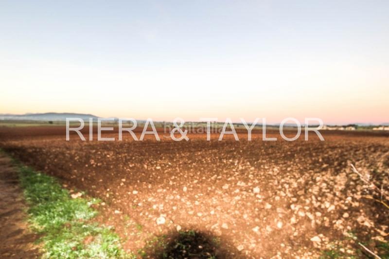 Foto de3a7d24-18c4-4645-b57e-94dce06cfd96. Propriété dans Vilafranca de Bonany