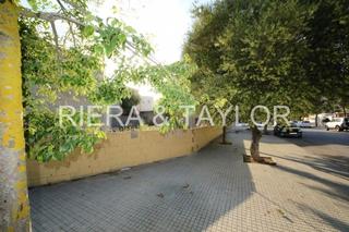 Finca rústica a Porto Cristo. Se vende solar en portocristo