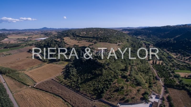 Foto f5520edb-1483-4bd5-9b87-bf2a4df8ff66. Masia a Manacor centre Manacor