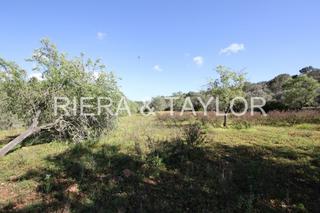 Finca rústica a Portopetro. Magnãfico terreno urbanizable  de 21.500 m2 aprox entre porto pe