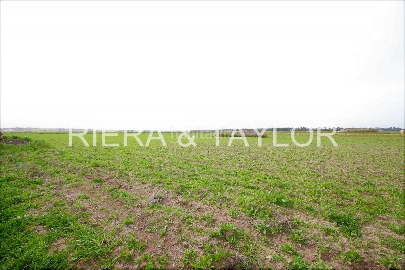 Foto 1dc7b0de-e853-41eb-ab93-d89263971830. Finca rústica a Manacor centre Manacor