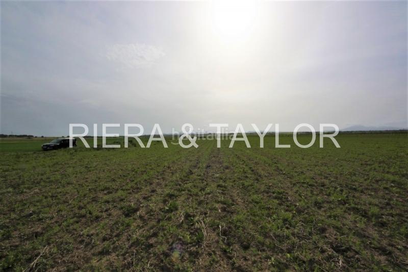Foto 5afe3a28-eb82-4dbf-9008-337e2aca2603. Finca rústica a Manacor centre Manacor