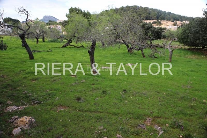 Foto 4a83fb18-f73e-43eb-b436-c573fb0555fd. Propriété dans Cala Ratjada Capdepera