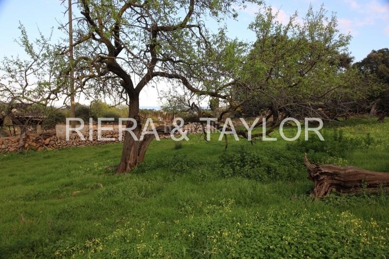 Foto 59263315-5a83-4d69-9f59-9f1d6f6dc783. Propriété dans Cala Ratjada Capdepera