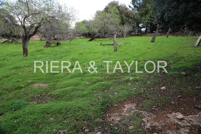 Foto efeb7fda-19a0-4330-ae43-91f9c1fa9a2b. Propriété dans Cala Ratjada Capdepera