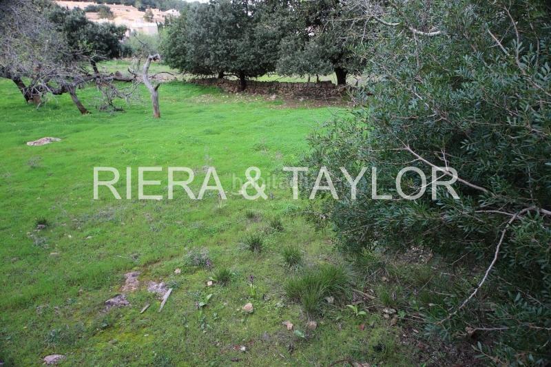 Foto f7d6e400-726b-4806-b96a-d8c57e1fed93. Propriété dans Cala Ratjada Capdepera