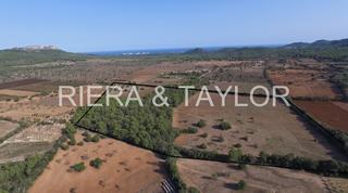 Finca rústica a Felanitx Poble. Se vende terreno edificable en felanitx