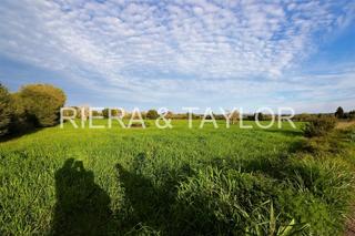 Rural plot in Manacor Centre. Se vende terreno edificable en manacor