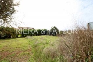 Rural plot in Sant Llorenç des Cardassar. Solar urbano en son carriã