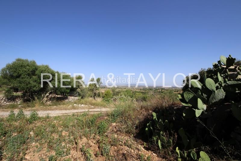 Foto 3c9fd321-bd19-487c-84a8-2c997e9c34d4. Casale in Manacor centre Manacor