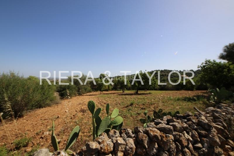 Foto 50d78057-3390-40bd-99fc-ea499bd27fe0. Casale in Manacor centre Manacor