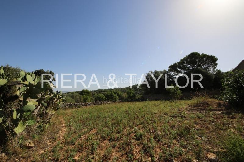 Foto 6cceda78-2e41-4878-a0dd-e362e1afb929. Casale in Manacor centre Manacor