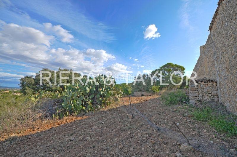 Foto ac9919f8-7e12-425a-ac38-f3f8a180ce58. Casale in Manacor centre Manacor