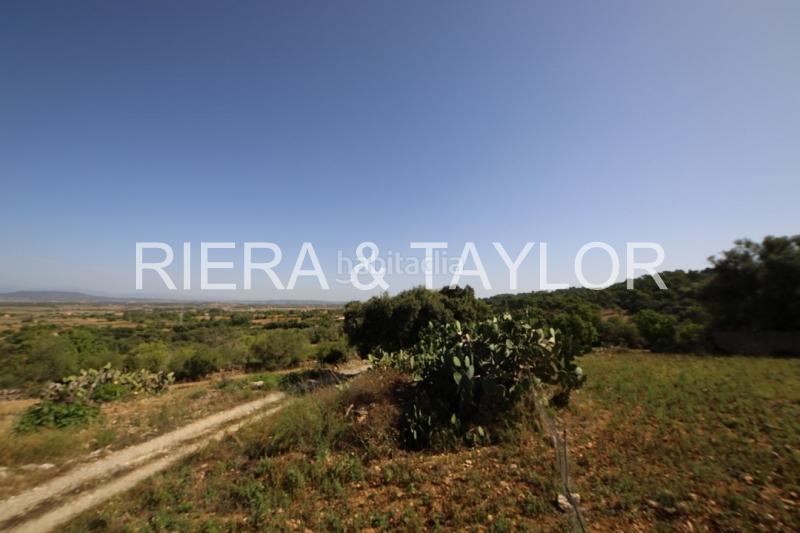 Foto d9d2d7a5-1829-4101-9baa-a4338a7e413c. Casale in Manacor centre Manacor