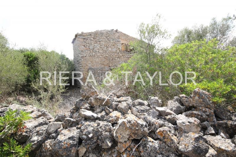 Foto cb5f6f53-8dff-47ee-a260-3eb4ccb3e506. Bauernhof in Son Servera poble Son Servera