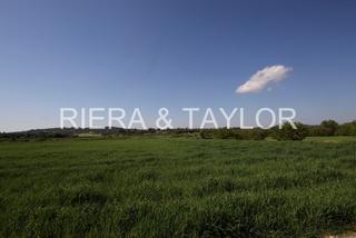 Rural plot in Porreres. Terreno edificable en porreres