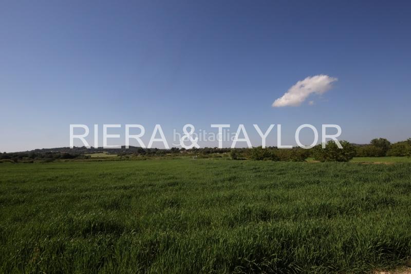 Foto 0f24e428-af05-41ff-8ac5-8fcd0172bfc0. Fondo rustico in Porreres