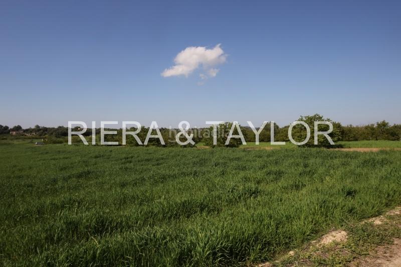 Foto 7888f977-a1b5-4532-b4da-5015fd77a454. Fondo rustico in Porreres