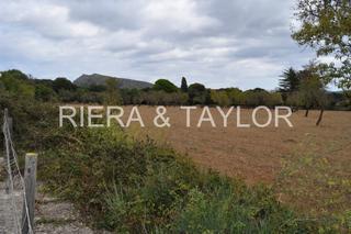 Rural plot in Artà Poble. Venta terreno en arta edificable