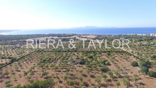 Country house in Colònia de Sant Pere. Se vende finca rãstica con casa en colonia sant pere