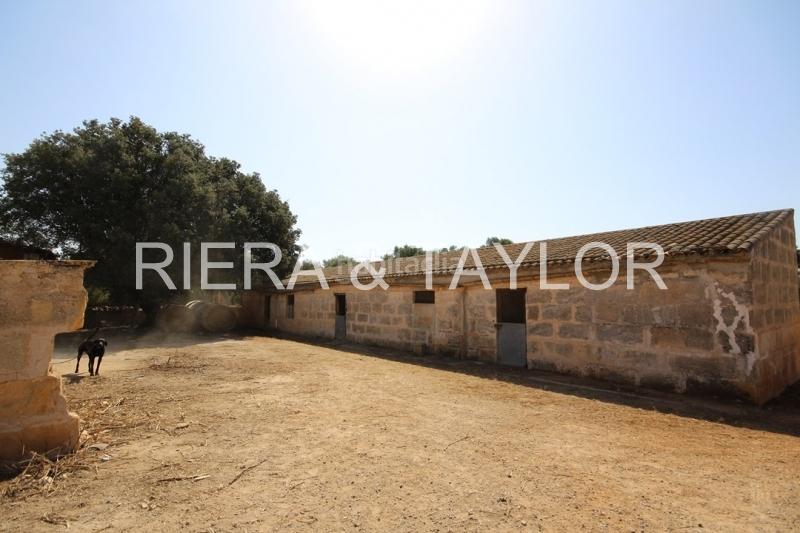 Foto a61fd4c4-c59d-4b72-aeda-90f76c4f1815. Bauernhof in Vilafranca de Bonany