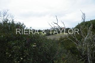 Finca rústica a Manacor Centre. Se vende finca rustica en manacor