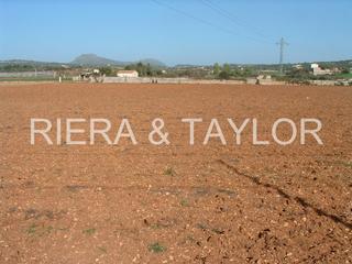 Finca rústica a Manacor Centre. Solar rustico en venta cerca de manacor