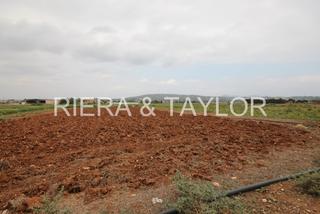 Finca rústica a Manacor Centre. Finca en venta en manacor
