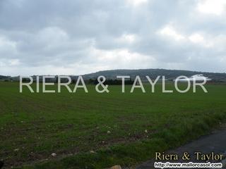 Finca rústica a Manacor Centre. Se vende finca en manacor